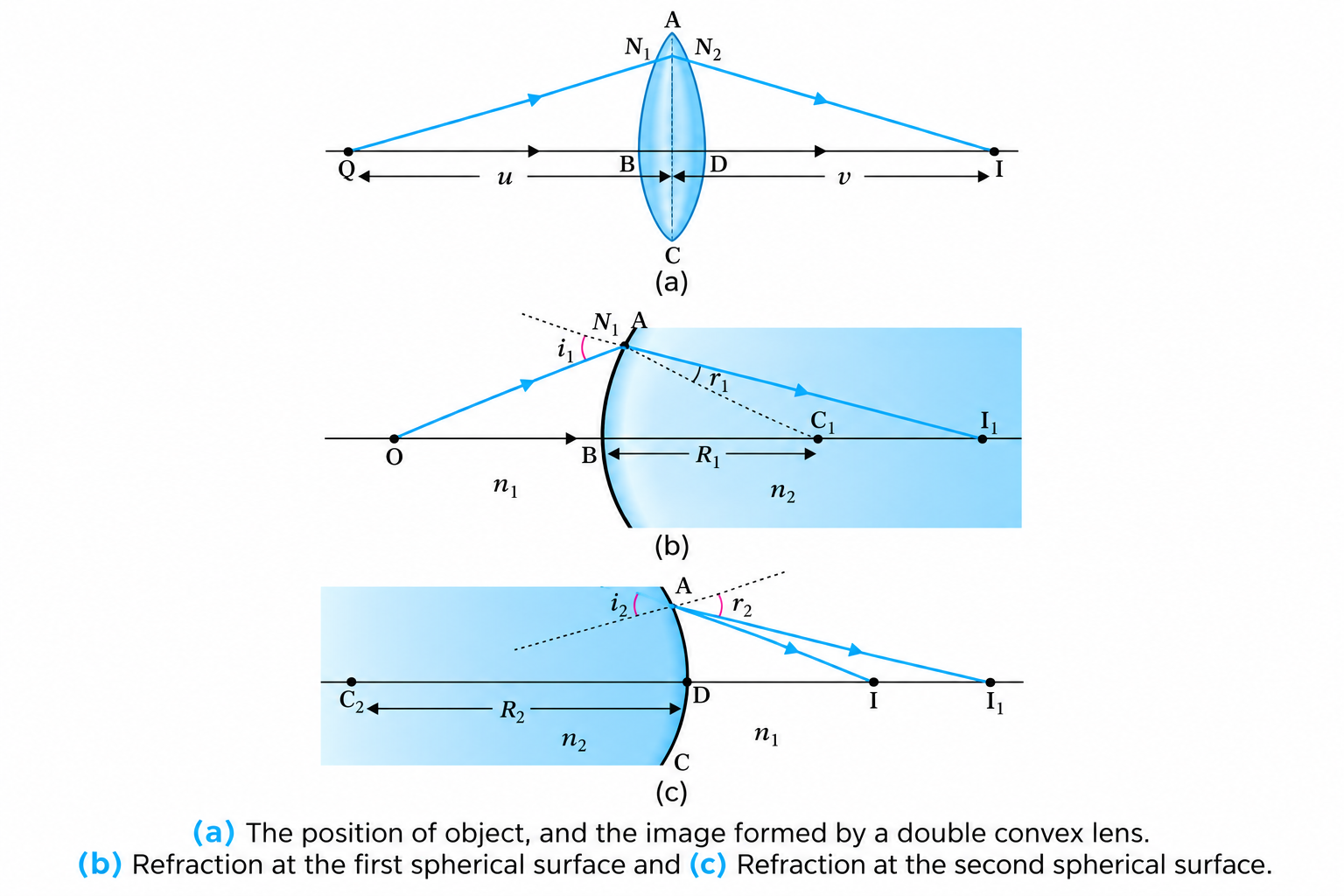 Figure 9.16: Refraction by a double convex lens.